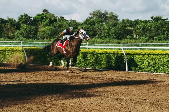 is-horse-racing-dangerous-the-dangers-of-speeding-horses